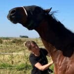 Nieke, Harley & Edon