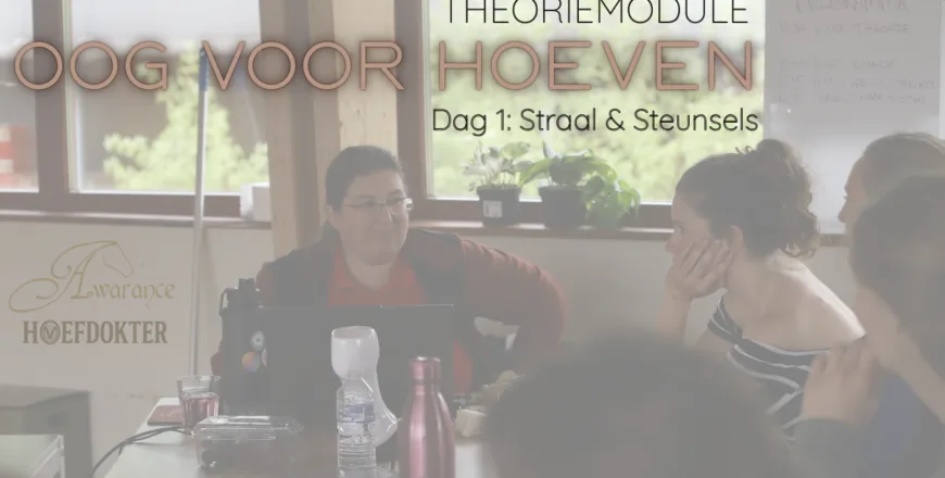 Youtube thumbnail dag 1 video.png