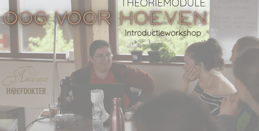 Youtube thumbnail intro workshop video.png