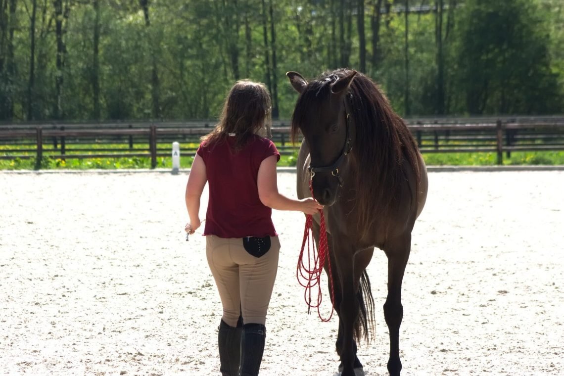 IMG_8134-1 AAAAAAAAAAAAAAAAAAAAAAAAAAAAAAAAAAAAAAAAAAAAAAAAAAAAAAAAAAAAAAAAAAAAAAAAAAAAAAAAAAAAAAAAAAAAAAAAAAAAAAAAAAAAAAAAAAAAAAAAAAAAAAAAAAAAAAAAAAAAAAAAAAAAAAAAAAAAAAAAAAAAAAAAAAAAAAAAAAAAAAAAAAAAAAAAAAAAAAAAAAAAAAAAAAAAAAAAAAAAAAAAAAAAAAAAAAAAAAAAAAAAAAAAAAAAAAAAAAAAAAAAAAAAAAAAAAAAAAAAAAAAAAAAAAAAAAAAAAAAAAAAAAAAAAAAAAAAAAAAAAAAAAAAAAAAAAAAAAAAAAAAAAAAAAAA